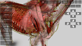 Screenshot_20180308-224944